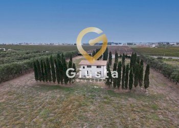 Foto 2 - Villa via vittorio emanuele III, San Pancrazio Salentino - foto 2