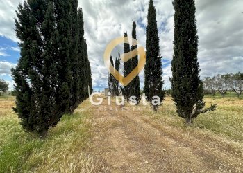 Foto 9 - Villa via vittorio emanuele III, San Pancrazio Salentino - foto 9