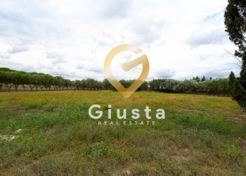 Foto 10 - Villa via vittorio emanuele III, San Pancrazio Salentino - foto 10