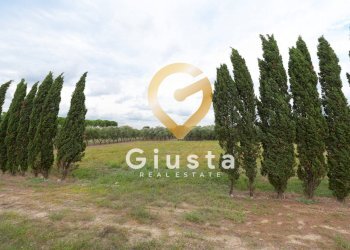 Foto 11 - Villa via vittorio emanuele III, San Pancrazio Salentino - foto 11