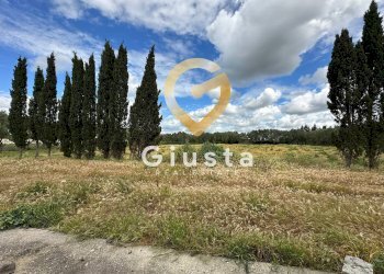 Foto 12 - Villa via vittorio emanuele III, San Pancrazio Salentino - foto 12