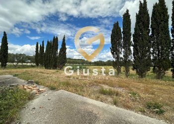 Foto 14 - Villa via vittorio emanuele III, San Pancrazio Salentino - foto 14