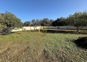 Foto 23 - Villa CDA EPISCOPANA, Oria - foto 23