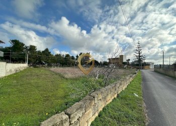 Foto 6 - Terreno edificabile Via Palladio
 
s n c, San Pietro Vernotico - foto 6