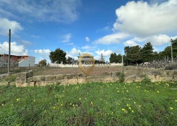 Foto 7 - Terreno edificabile Via Palladio
 
s n c, San Pietro Vernotico - foto 7