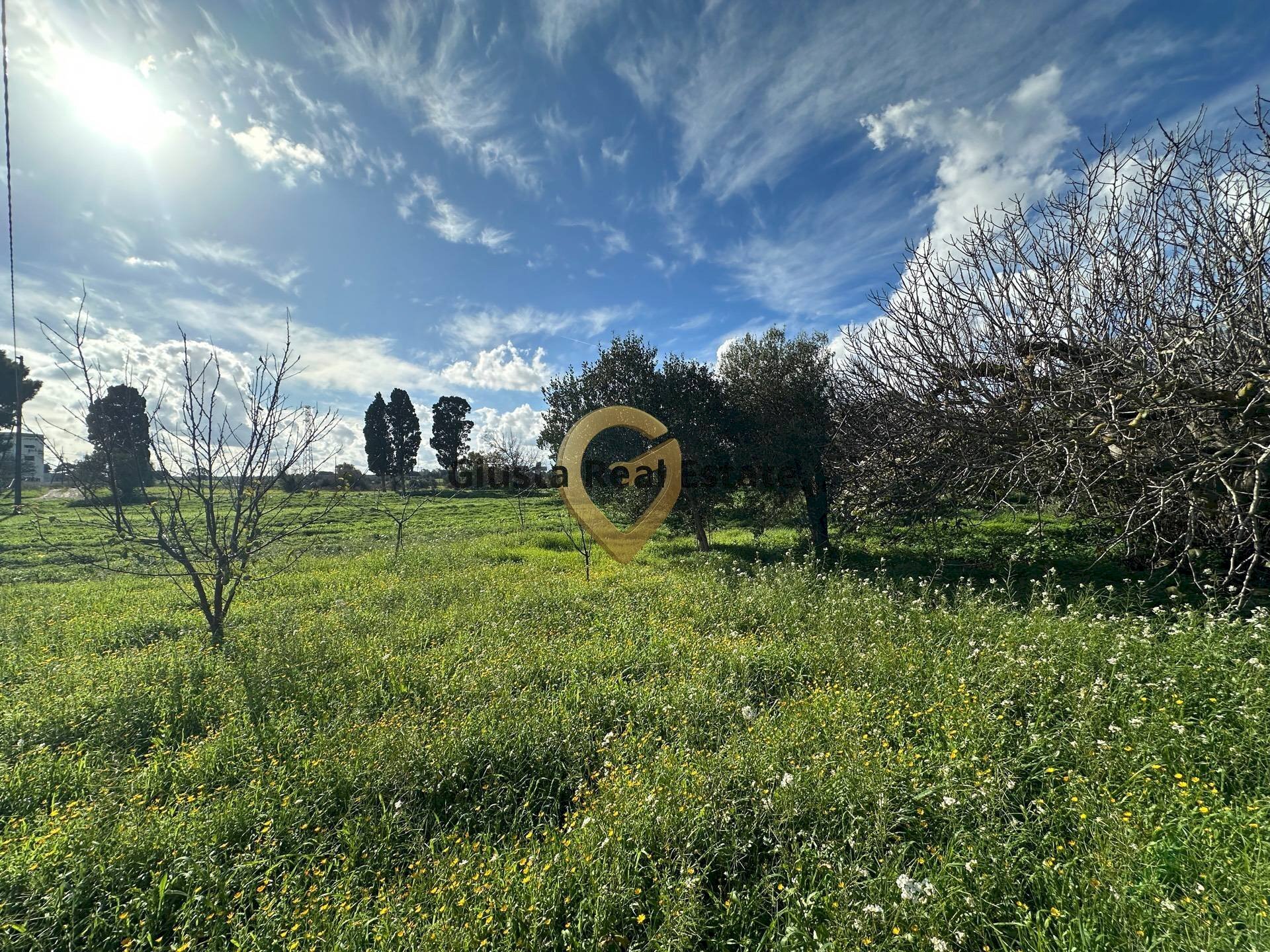 Foto 2 - Rustico C.da Apani
 
s n c, Brindisi - foto 2