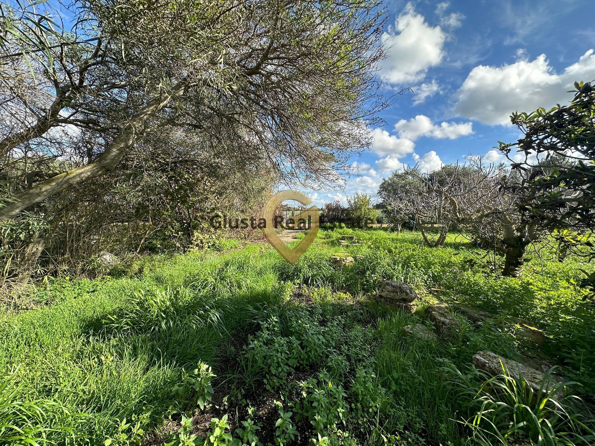 Foto 3 - Rustico C.da Apani
 
s n c, Brindisi - foto 3