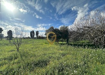 Foto 2 - Rustico C.da Apani
 
s n c, Brindisi - foto 2