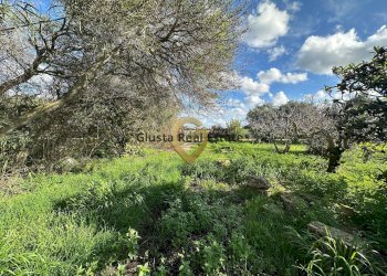 Foto 3 - Rustico C.da Apani
 
s n c, Brindisi - foto 3