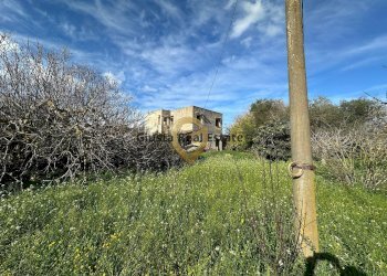 Foto 4 - Rustico C.da Apani
 
s n c, Brindisi - foto 4