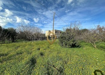 Foto 5 - Rustico C.da Apani
 
s n c, Brindisi - foto 5