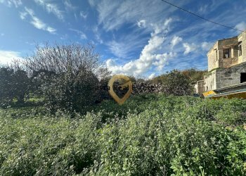 Foto 7 - Rustico C.da Apani
 
s n c, Brindisi - foto 7