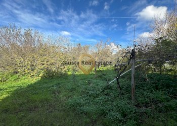 Foto 11 - Rustico C.da Apani
 
s n c, Brindisi - foto 11