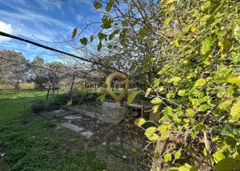 Foto 12 - Rustico C.da Apani
 
s n c, Brindisi - foto 12