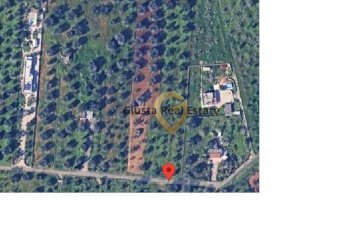 Foto 3 - Terreno edificabile Contrada Gaeta Grande, San Vito dei Normanni - foto 3