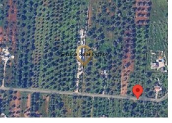 Foto 5 - Terreno edificabile Contrada Gaeta Grande, San Vito dei Normanni - foto 5