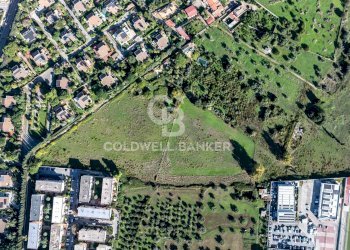 Foto 1 - Terreno agricolo Via Leonardo da Vinci, Palermo - foto 1