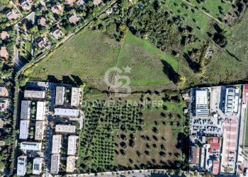 Foto 2 - Terreno agricolo Via Leonardo da Vinci, Palermo - foto 2