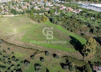 Foto 3 - Terreno agricolo Via Leonardo da Vinci, Palermo - foto 3