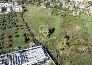 Foto 4 - Terreno agricolo Via Leonardo da Vinci, Palermo - foto 4