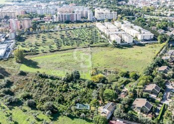 Foto 6 - Terreno agricolo Via Leonardo da Vinci, Palermo - foto 6