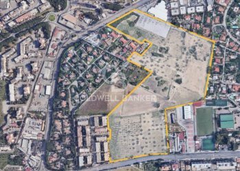 Foto 7 - Terreno agricolo Via Leonardo da Vinci, Palermo - foto 7