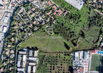 Foto 8 - Terreno agricolo Via Leonardo da Vinci, Palermo - foto 8