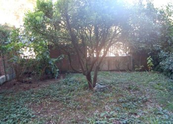 Terreno - Trilocale via Roberto Biscaretti, Chieri - foto 2