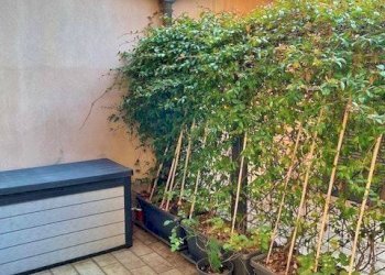 Cortile interno - Trilocale Gallarate - foto 6