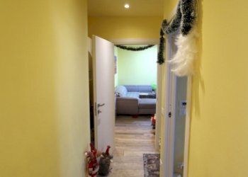 IMG_8867.JPG - Quadrilocale Via A. Zanasi, Valsamoggia - foto 21