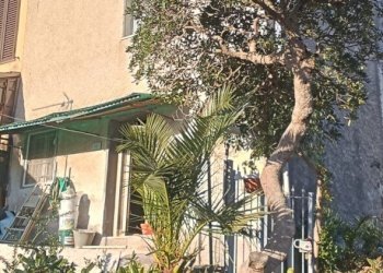 1.jpg - Terratetto - Terracielo Massarosa - foto 1