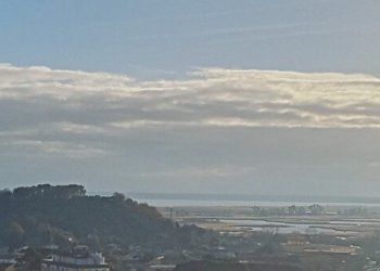 4 (2).jpg - Terratetto - Terracielo Massarosa - foto 4