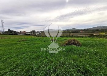 Terreno edificabile B&B falconeria, Partinico - foto 1