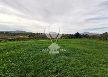 Terreno edificabile B&B falconeria, Partinico - foto 2