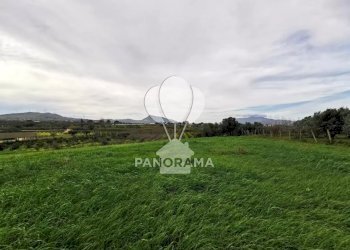 Terreno edificabile B&B falconeria, Partinico - foto 4