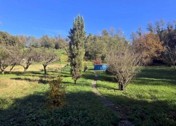 Villa Borgo a Mozzano - foto 6