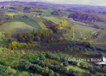 Villa Unifamiliare Viale Giacomo Matteotti, 1G, Certaldo - foto 40