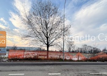 Capannone San Vito - foto 4