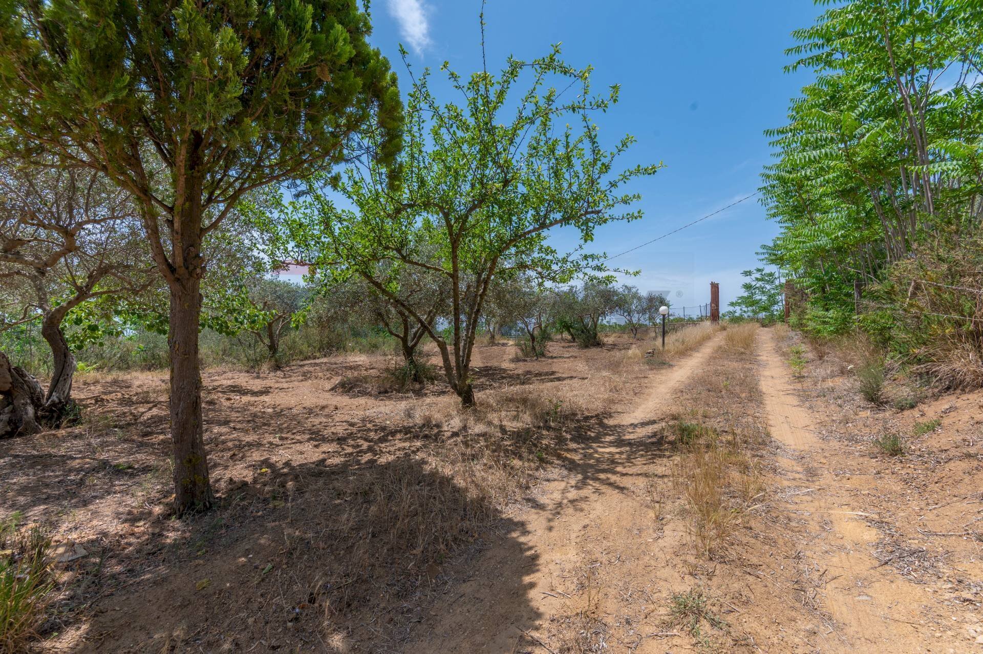 Giardino - Villa Contrada Portella Quadra
 
97, Caltagirone - foto 3