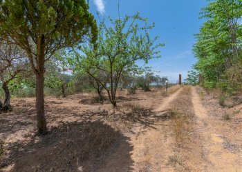 Giardino - Villa Contrada Portella Quadra
 
97, Caltagirone - foto 3