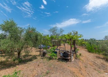 Giardino - Villa Contrada Portella Quadra
 
97, Caltagirone - foto 9