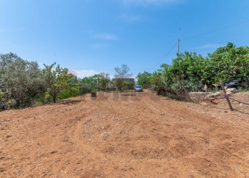 Giardino - Villa Contrada Portella Quadra
 
97, Caltagirone - foto 21