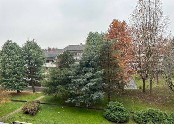 Giardino - Quadrilocale VIA CAPUANA
 
3, Rho - foto 44