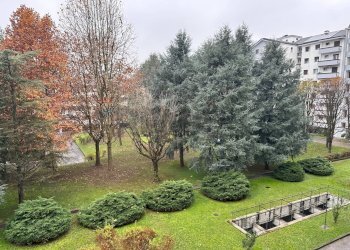 Giardino - Quadrilocale VIA CAPUANA
 
3, Rho - foto 46