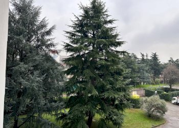 Giardino - Quadrilocale VIA CAPUANA
 
3, Rho - foto 52