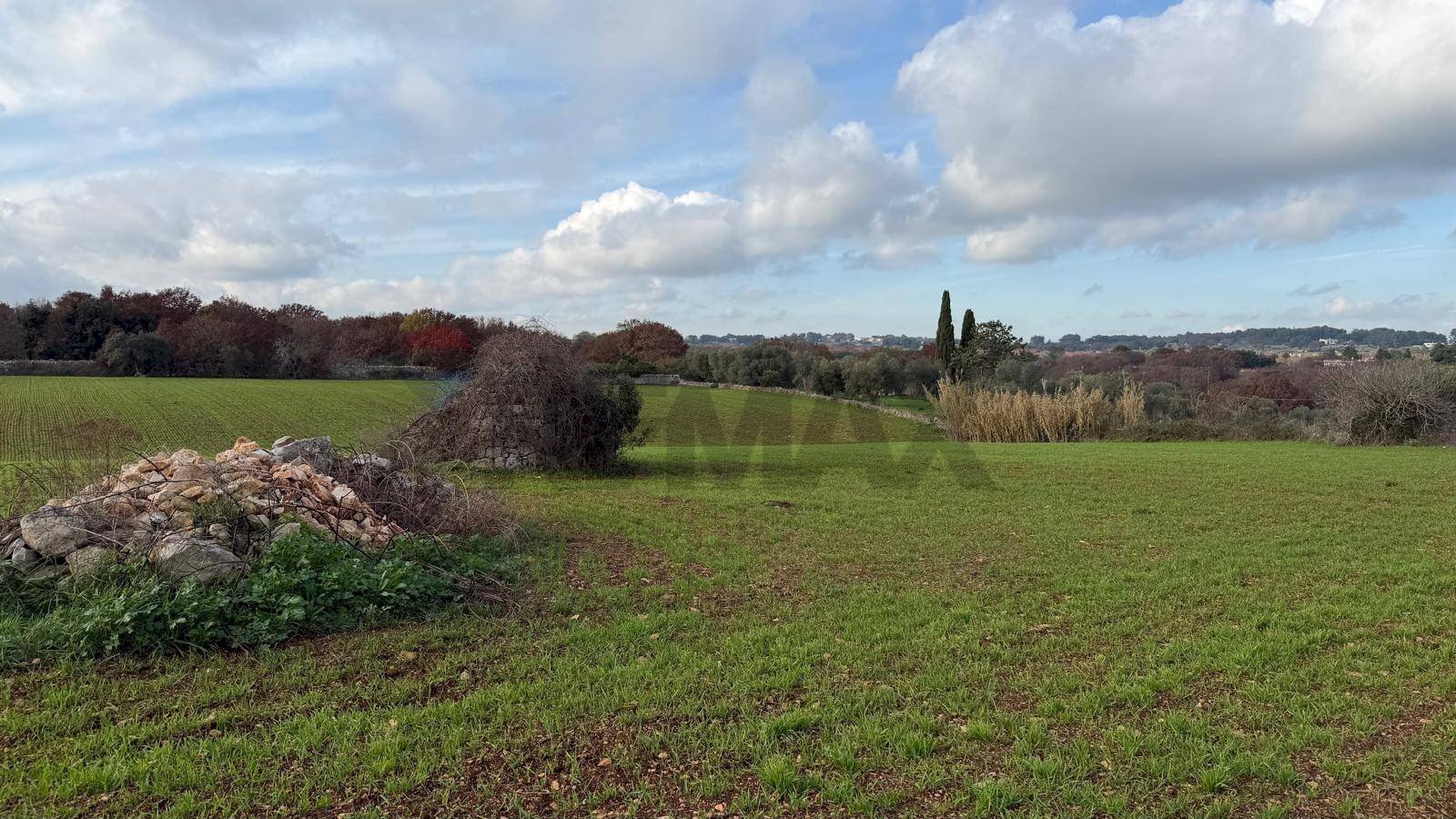 Giardino - Terreno edificabile Strada Rospano
 
112/A, Martina Franca - foto 2