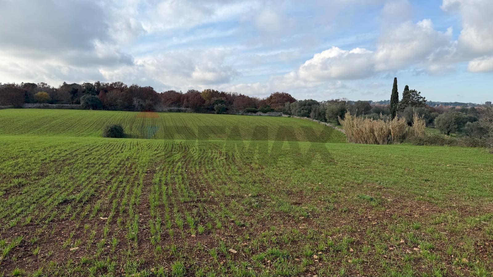 Giardino - Terreno edificabile Strada Rospano
 
112/A, Martina Franca - foto 3