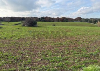 Giardino - Terreno edificabile Strada Rospano
112/A, Martina Franca - foto 1