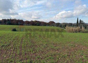Giardino - Terreno edificabile Strada Rospano
112/A, Martina Franca - foto 3