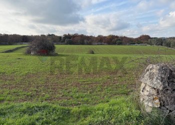 Giardino - Terreno edificabile Strada Rospano
112/A, Martina Franca - foto 5
